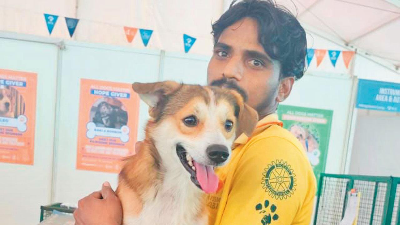 A volunteer with a dog at the camp