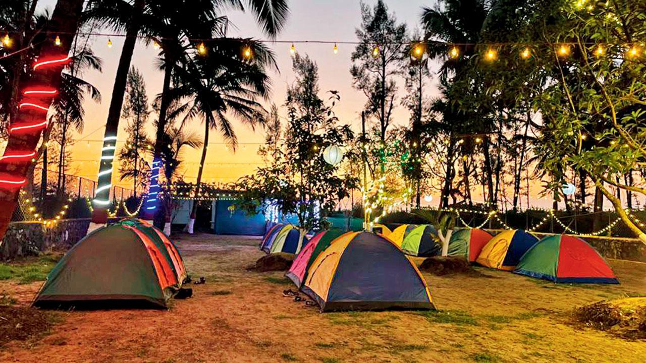 Tents set up at Nagaon beach for a previous camping trip