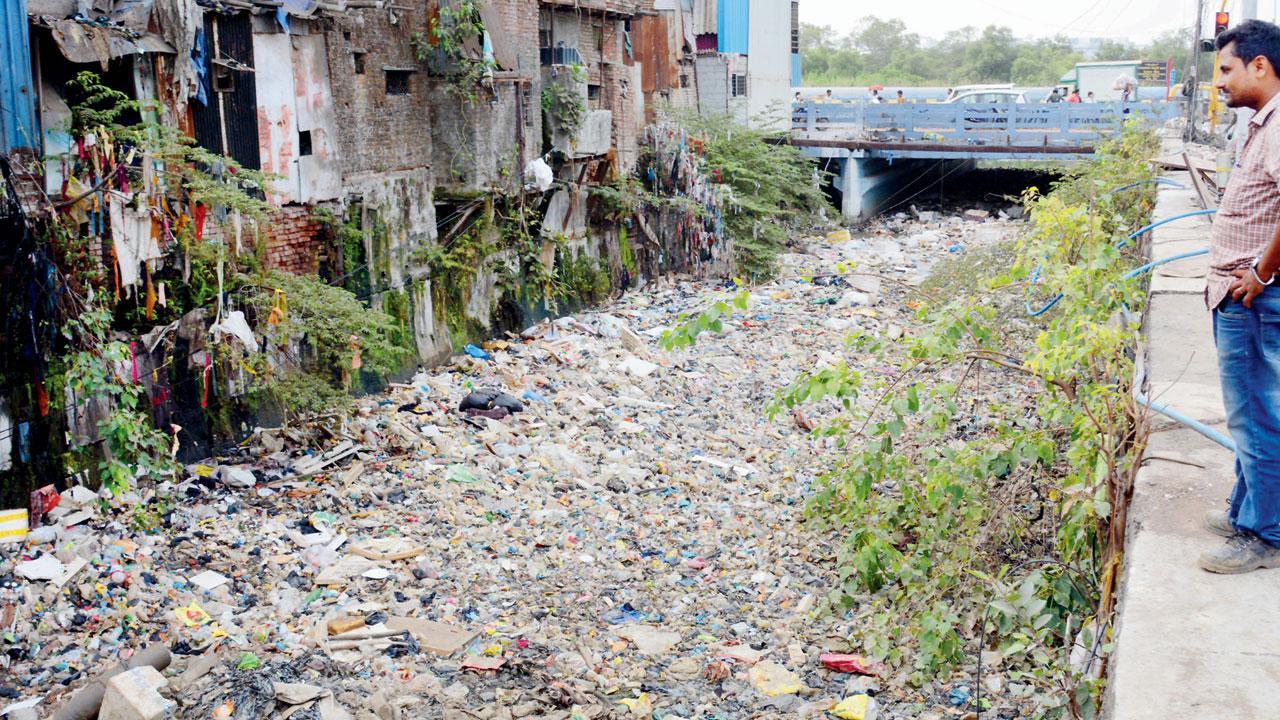 Mumbai: BMC’s bid for cleaner nullahs sparks debate