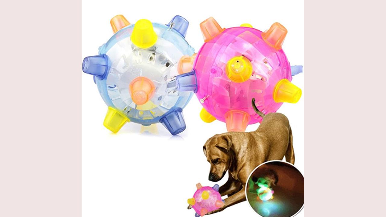 Ball hotsell pets website
