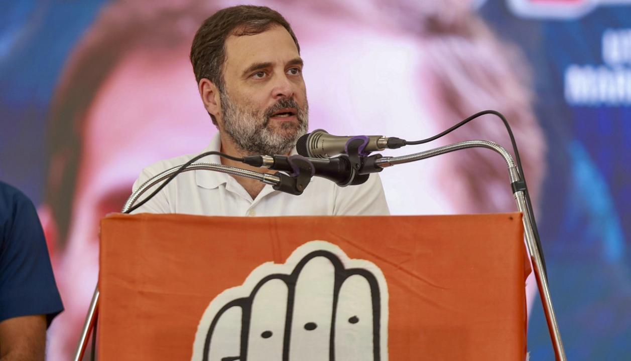 Rahul Gandhi mocks political opponents' love for limelight