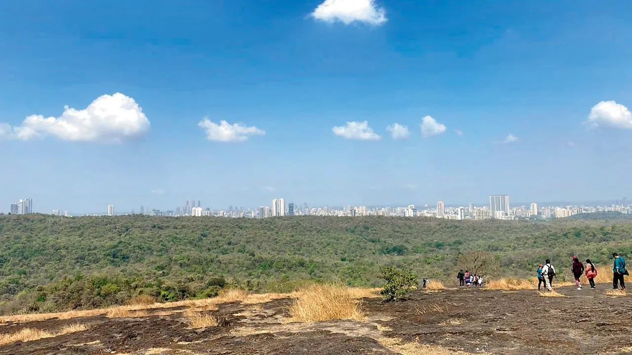 Want to watch 2024's first sunrise? Four Mumbaikars share their favourite spots in Mumbai
