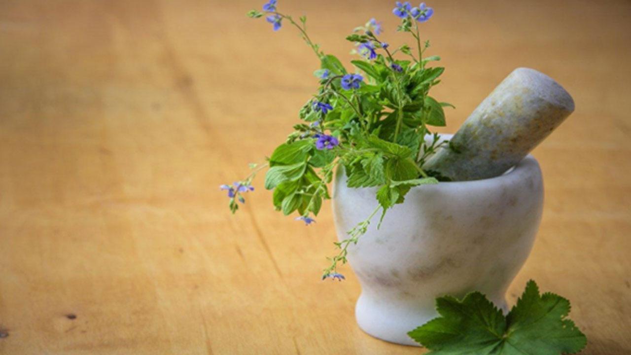 Traditional Medicines vs. Conventional Medicine: What's the Difference?