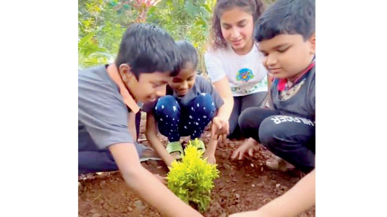 Kids plant saplings at the drive
