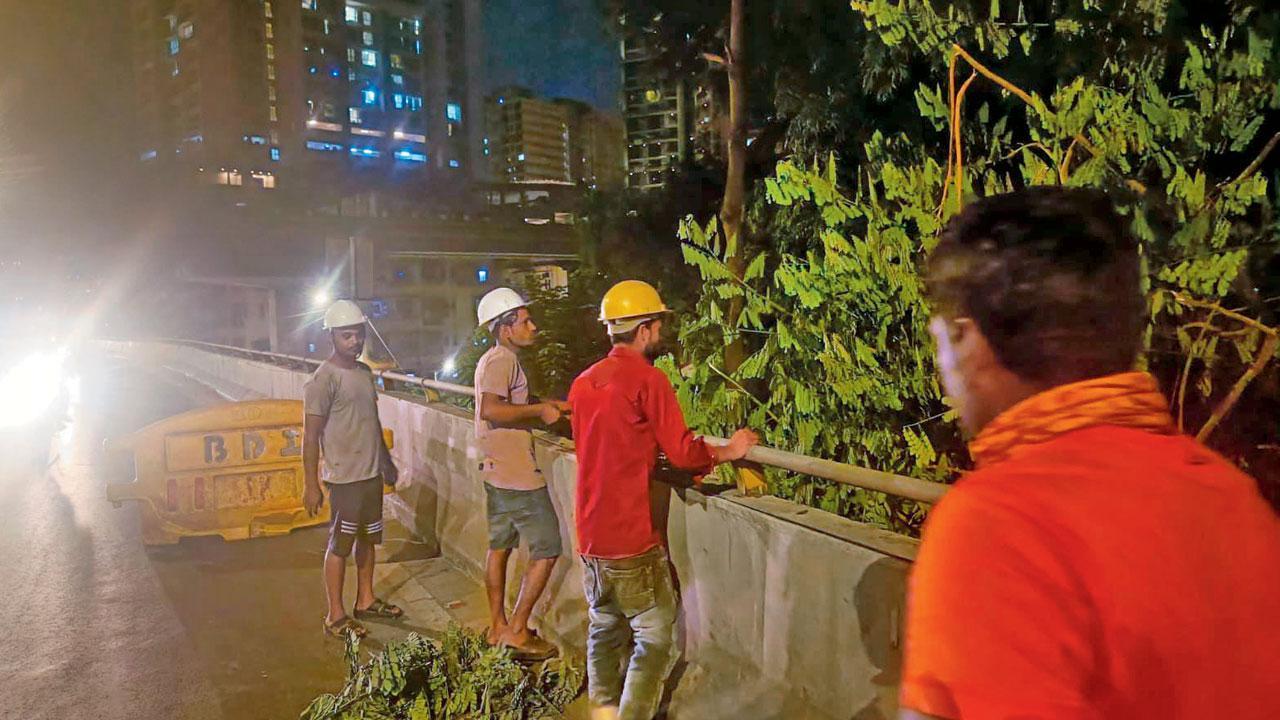 Mumbai: Trees near flyovers being pruned to avoid mishaps