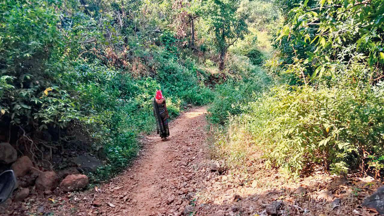 A tribal woman walking alone towards Khadai Dhangarwadi in Khalapur which has a population of about 200 people