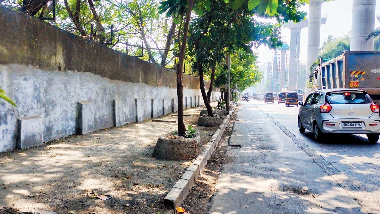 Mumbai: BMC’s beautification project continues to take toll on trees