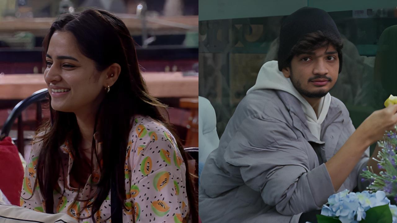 Bigg Boss 17: Ayesha Khan styles Munawar Faruqui's hair, netizens go crazy over the growing closeness between the duo