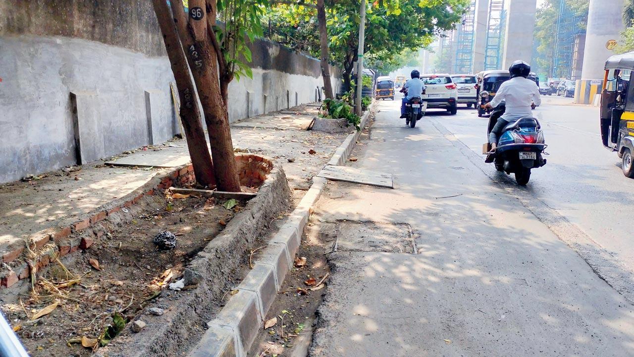 Mumbai: BMC clears the debris after tree impact report