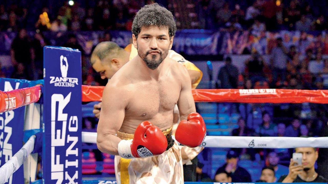 ‘Cricket can Boost Pro boxing’