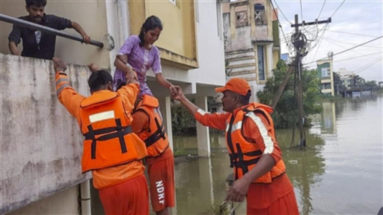 The Chennai corporation has brought in 5000 workers from other districts to the city for the flood mitigation works. These workers used farm tractors and fishing boats in flooded areas including Periamet and some other north Chennai areas to rescue people and to distribute relief materials.