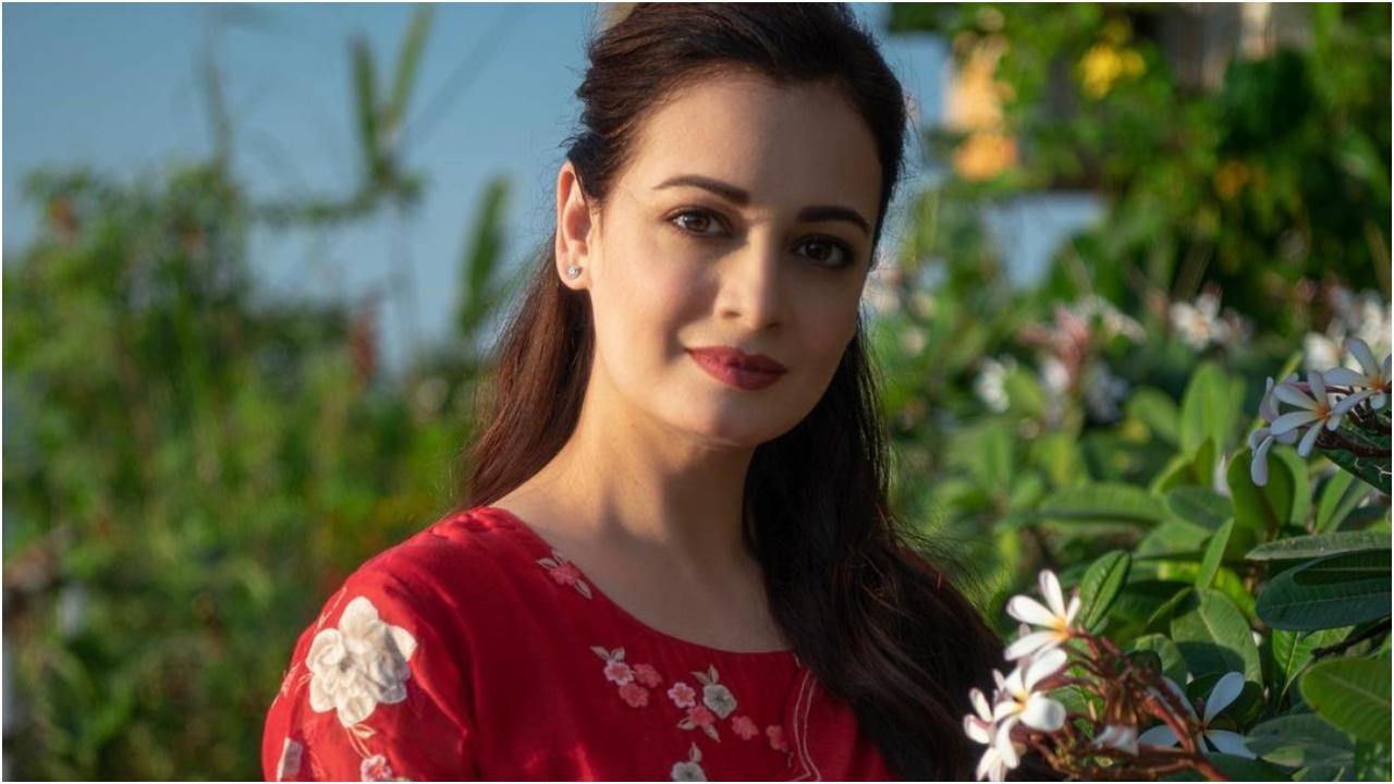Dia Mirza Birthday: The remarkable restraint of the Rehnaa Hai Terre Dil Mein star