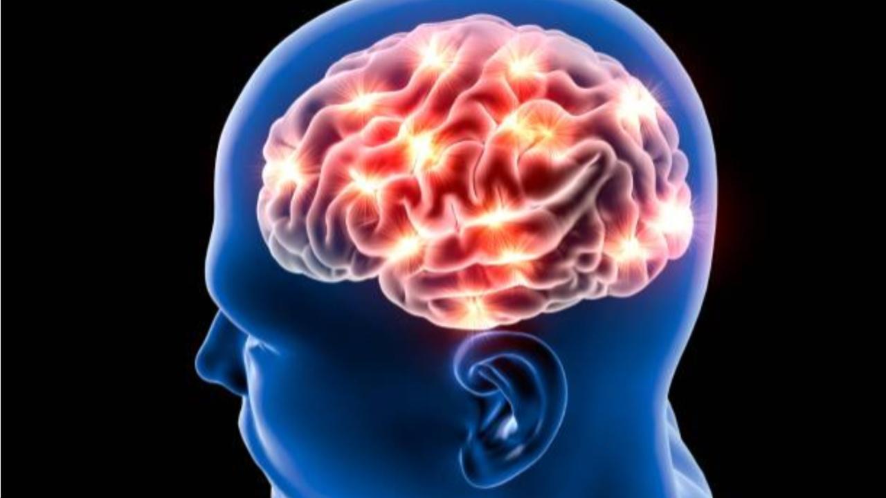 Fast changes in dopamine levels may impact human behaviour, decision making: Study
