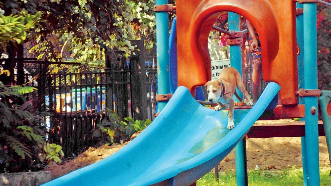 Mumbai Diary: Tuesday Dossier