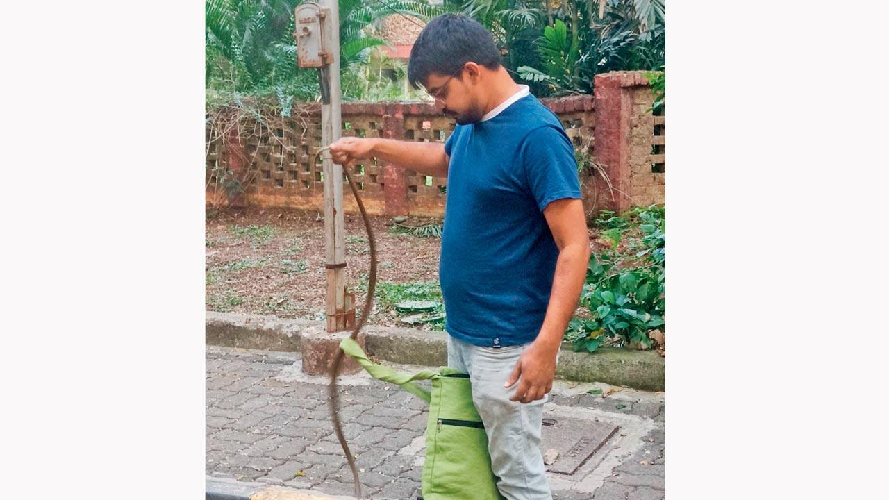 Harankhede with the rat snake on the TISS campus