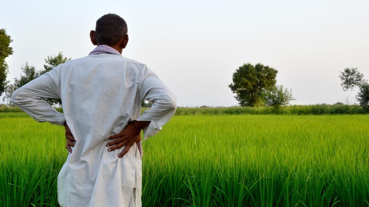 Yavatmal farmer consumes pesticide near Maharashtra legislature complex