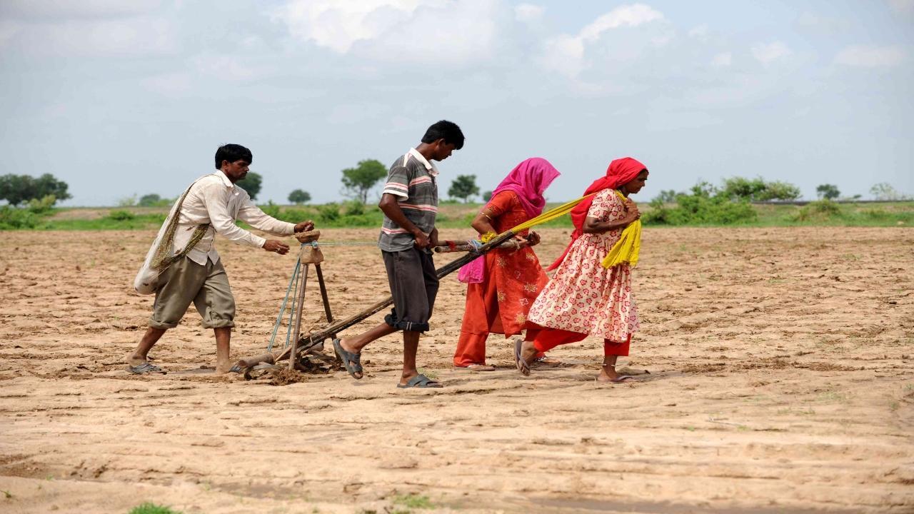 History of the National Farmer's Day