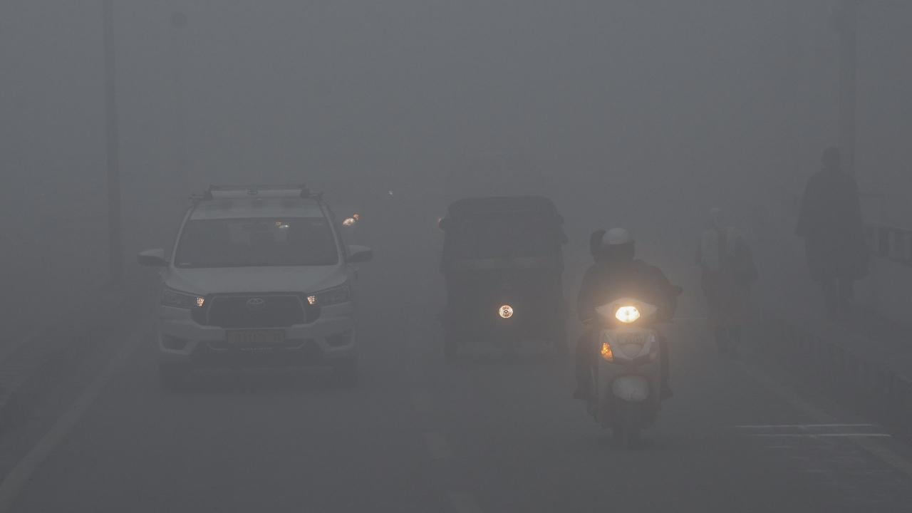In Pictures: Dense fog disrupts morning life in Kashmir