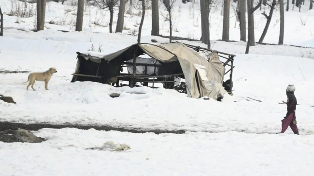 Kashmir is freezing under intense cold wave with Srinagar city recording the coldest night of this season even as the minimum settled several degrees below freezing point across the valley, officials said on Thursday.