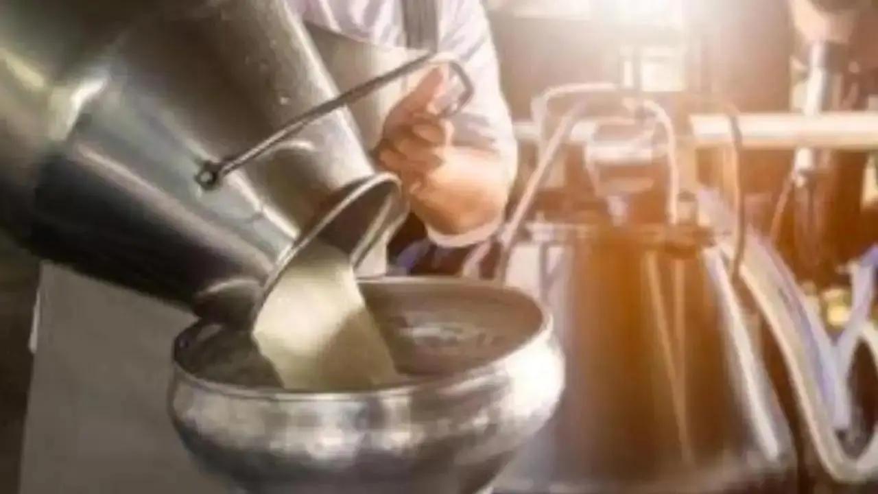 Maharashtra govt announces Rs 5/litre subsidy for milk producers