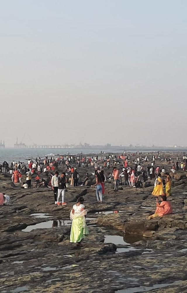The visitors were seen capturing the festive scenes on their cameras and smartphones