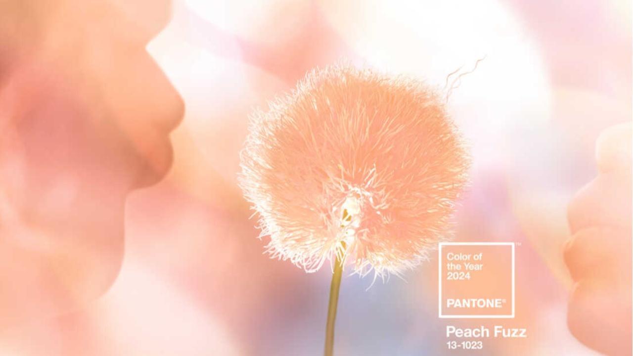 Pantone Colour of the Year: Why Peach Fuzz fails to live up to its essence