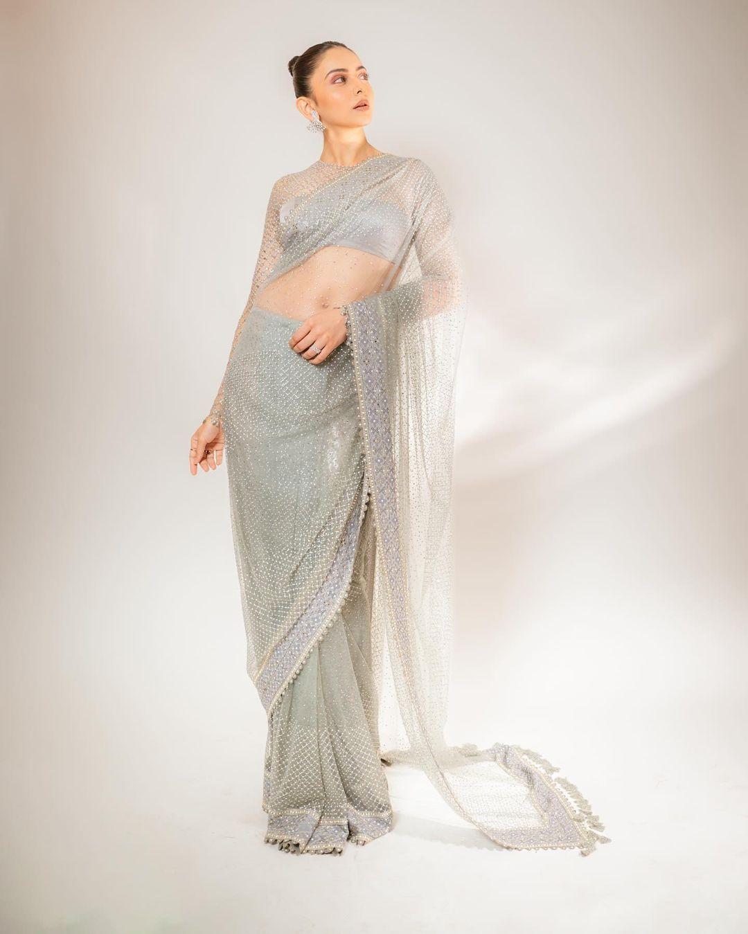 Rakul Preet Singh posted pictures in this heavenly silver saree
