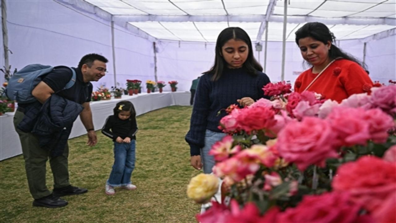 After inaugurating the show, Yadav appreciated the efforts of the Rose Society of India in organising the winter rose show. Yadav urged people to visit the show and enjoy the sight of the majestic bloom in the rose beds.