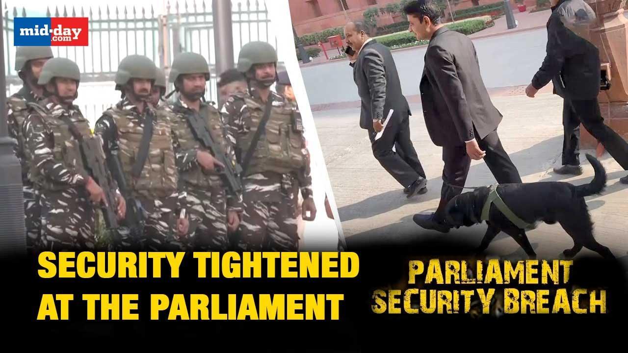 Parliament Security Breach: Dog squad team deployed at Parliament