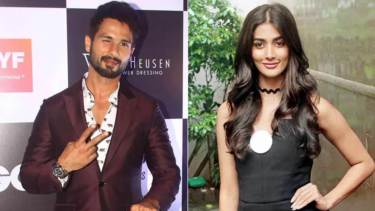 It's a wrap for Shahid Kapoor, Pooja Hegde's 'Deva' first schedule