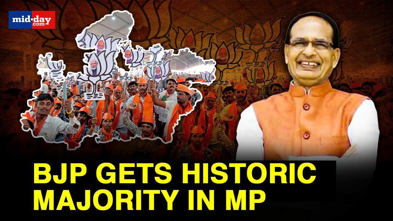 MP Election Results: Shivraj Singh Chauhan’s interview after BJP gets majority