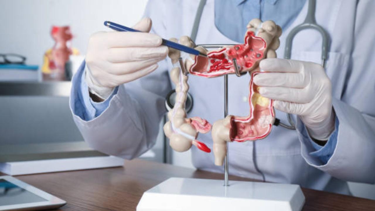 Everything you need to know about small intestine transplant