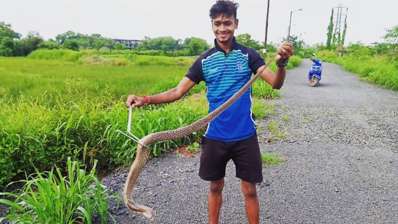 Snakes infestation strikes fear among medical staff at Agashi PHC in Virar