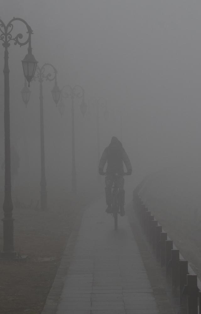 Kashmir Valley continued to reel under intense cold as dense fog disrupted early morning life for the third consecutive day in the region on Wednesday