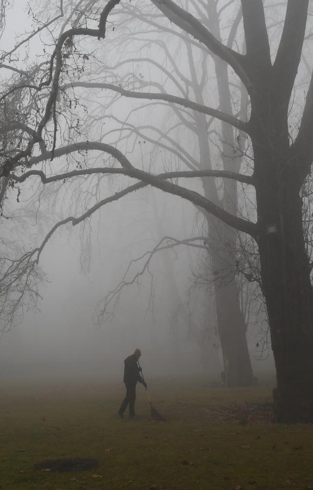 The transport department issued extensive advisory for motorists in the city driving through one of the worst foggy conditions in recent memory