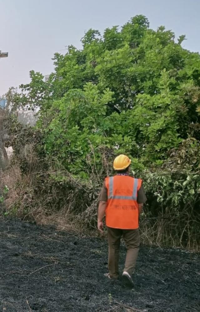 The incident was reported at approximately 16:00 hrs, prompted immediate action from the Disaster Management Cell and fire brigade personnel