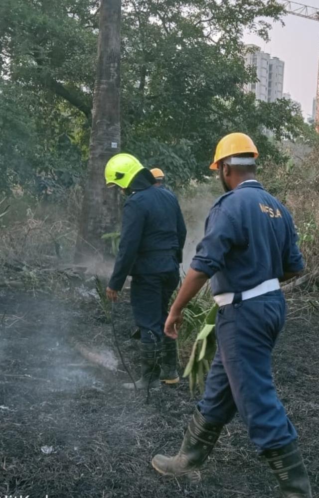 A potential disaster was averted as the Disaster Management Cell swiftly responded to an incident of grass fire near Godrej Ascend Complex, Balkum, Thane