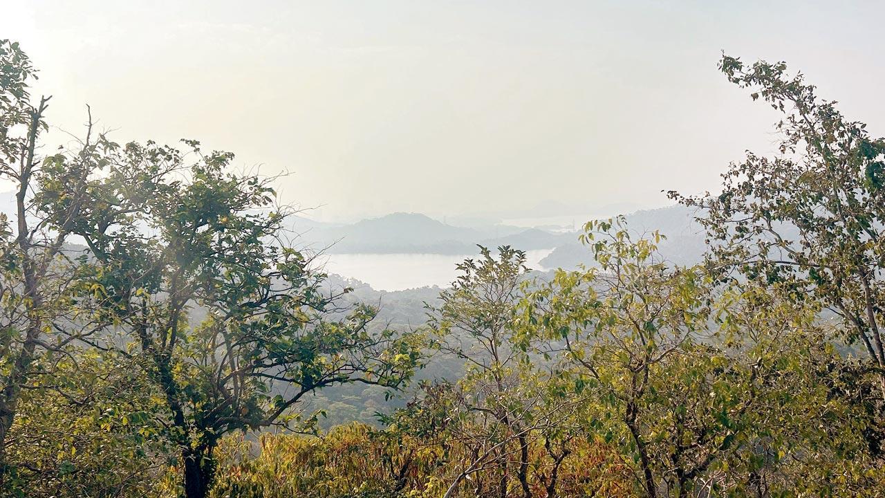 Sign up for these 3 trips around Mumbai this weekend