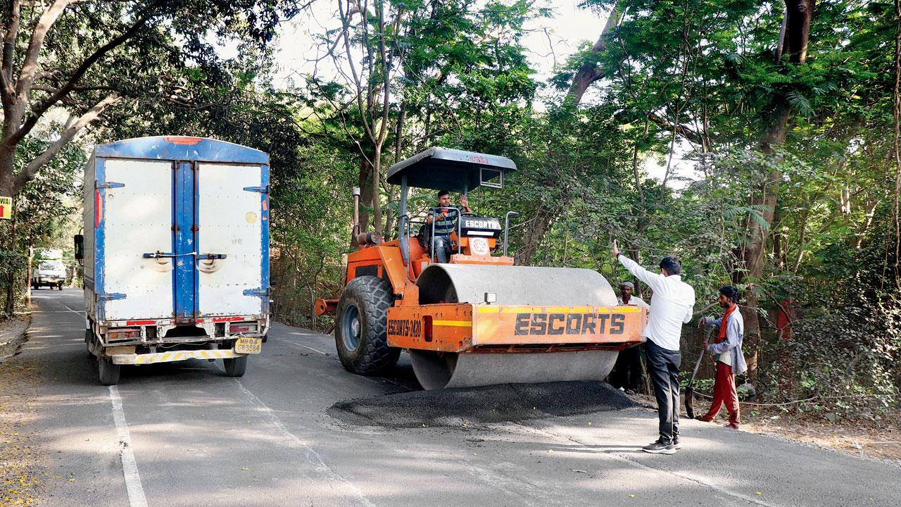 Mumbai: Six days since Aarey mishap, cops yet to find the vehicle