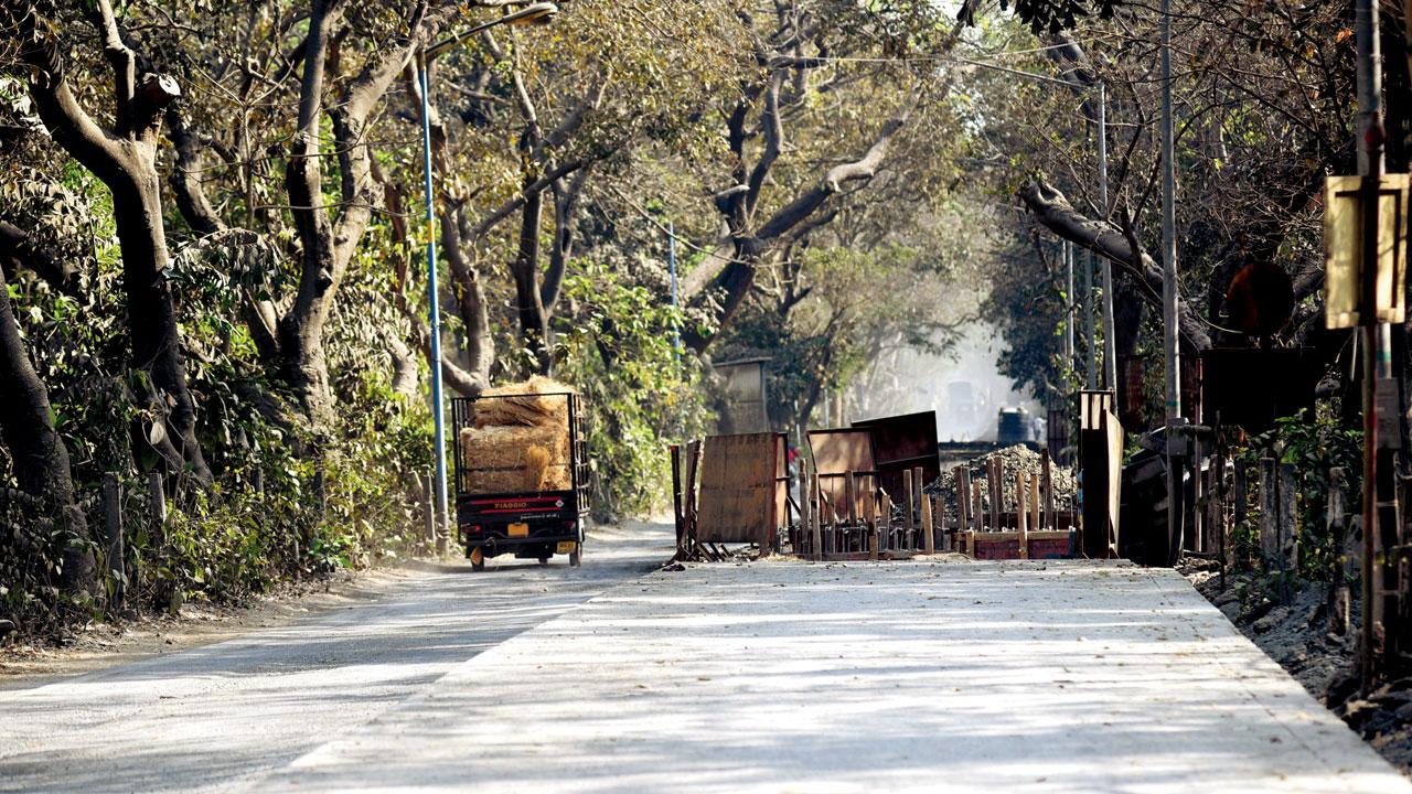 Speed breakers that had been removed on several stretches of the internal roads at Aarey have not been replaced