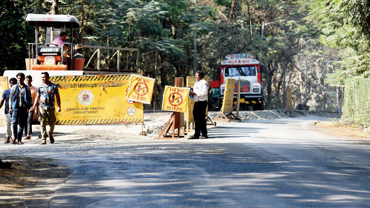 Mumbai: Wildlife in Aarey at risk, as speed breakers disappear, say activists
