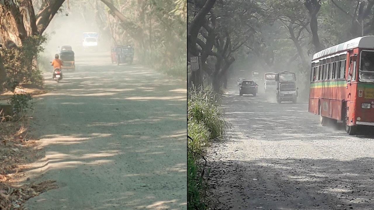 Locals say the air quality in Aarey has deteriorated over the past year