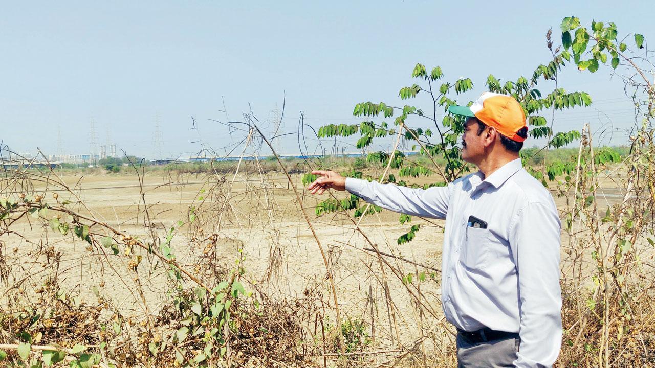 ‘Panels not lifting a finger to save wetlands, mangroves’