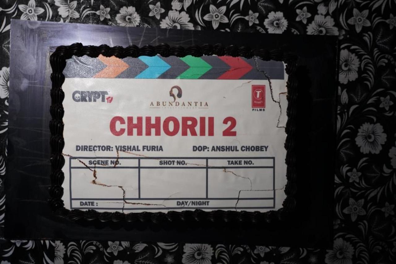 Chhorii 2 is presented by Gulshan Kumar and T-Series Films. An Abundantia Entertainment and Psych production, it is produced by Bhushan Kumar, Krishan Kumar, Jack Davis and Vikram Malhotra and directed by Vishal Furia. The team recently announced the wrap of the shoot of the film