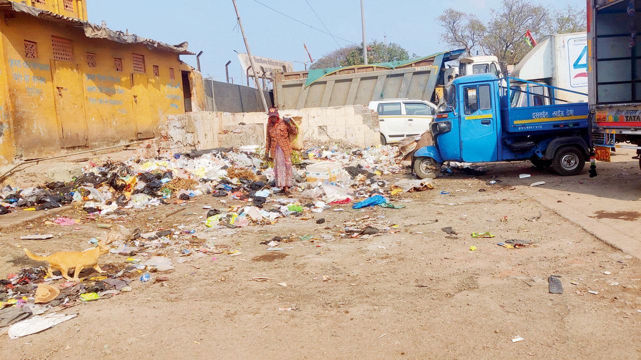 Mumbai: e-ricks to tackle solid waste in M East ward
