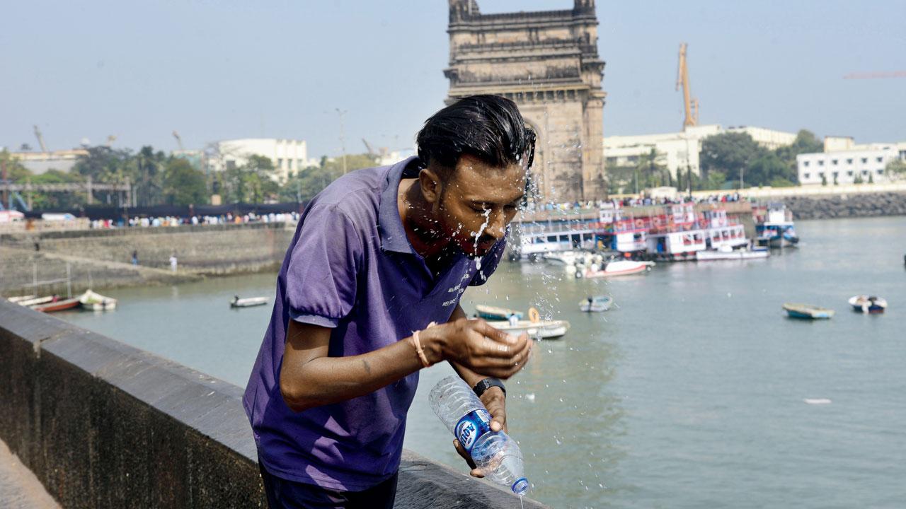 A youth attempts to beat the heat at the Gateway of India on February 3. File Pic/Pradeep Dhivar