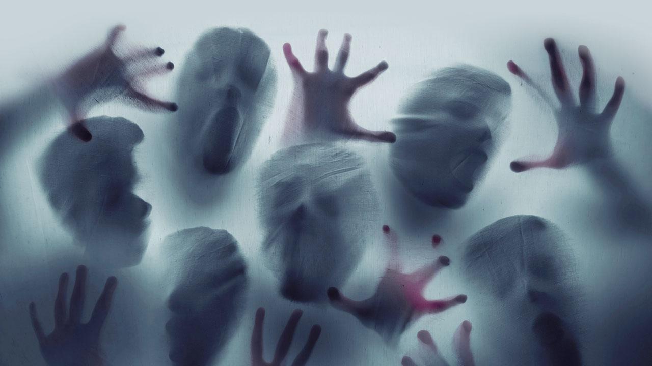 Here is our pick of top must-watch horror movies for those that love the genre