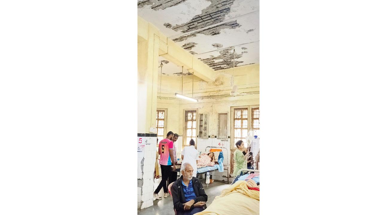 Chunks of plaster have fallen off the ceiling in many wards at KEM hospital