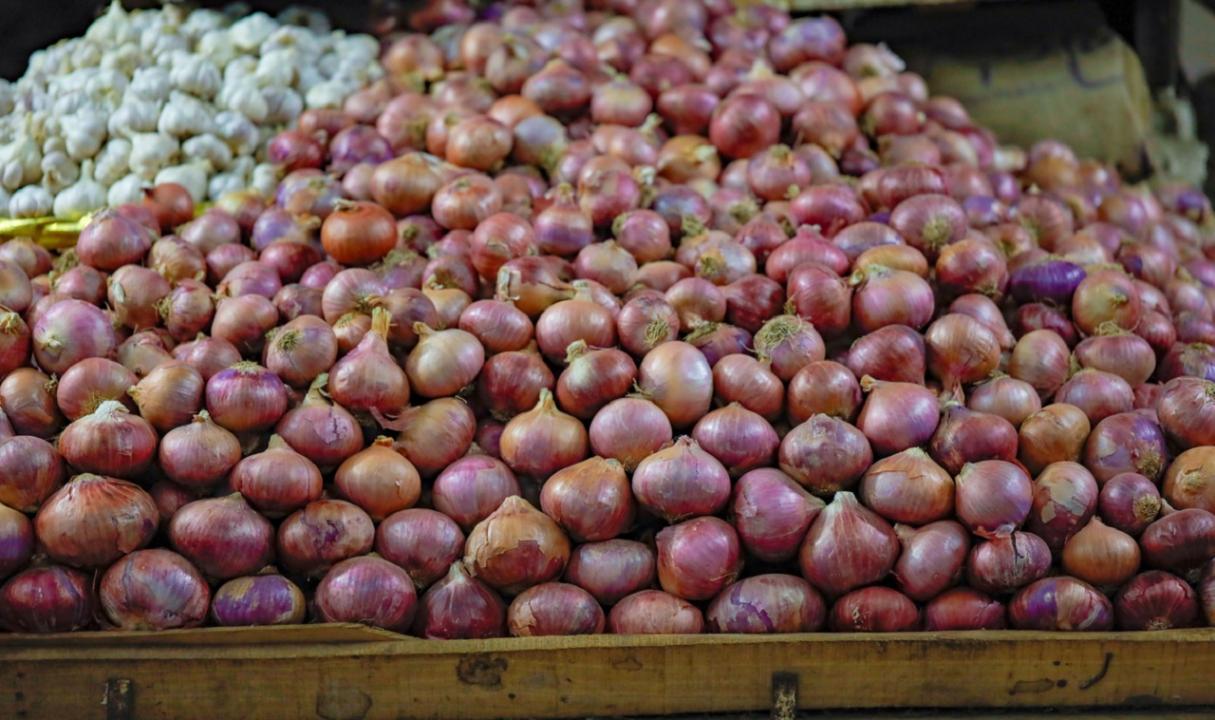 No ban on exports; onions worth USD 523.8 million exported in Apr-Dec 2022: Govt