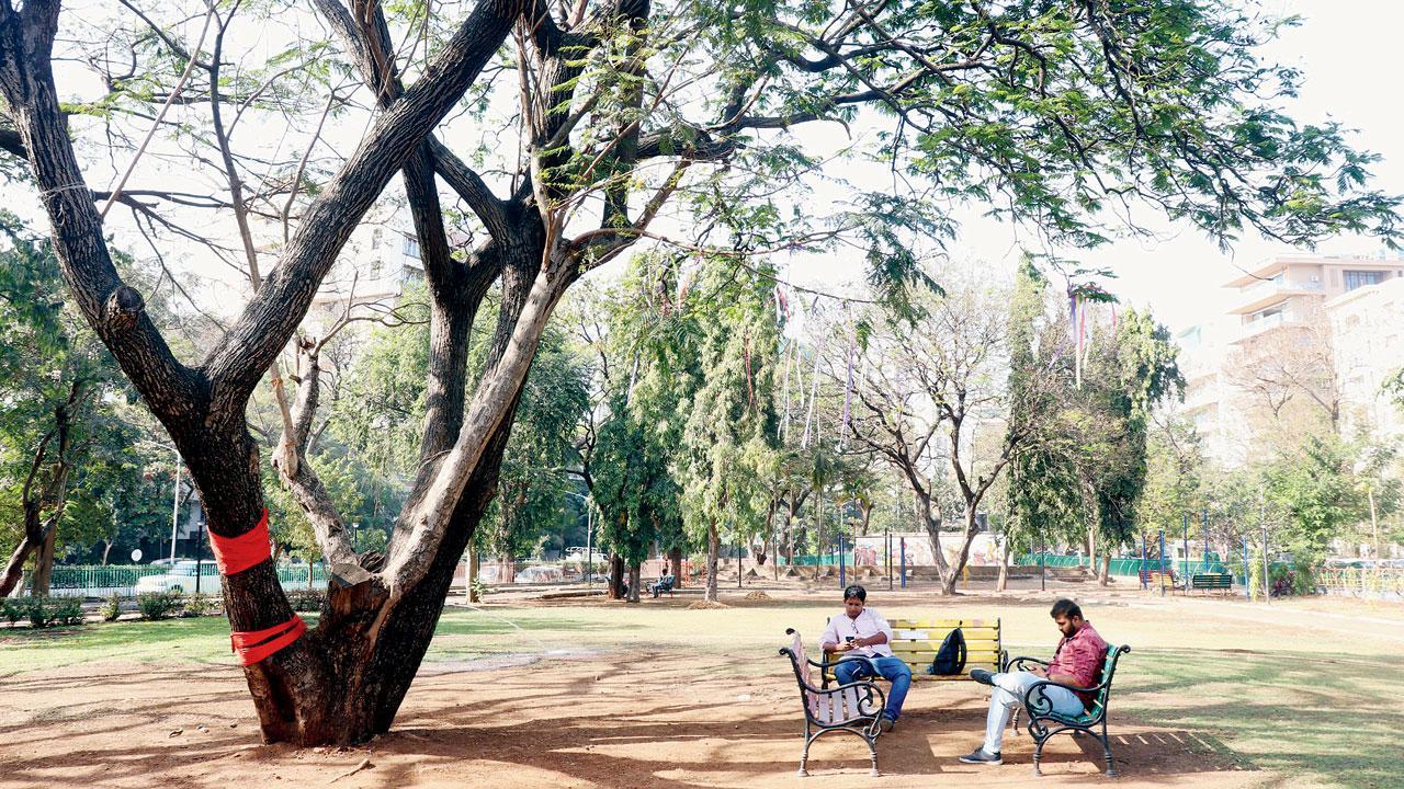 Mumbai: Don’t want parking lots at cost of open spaces, say locals